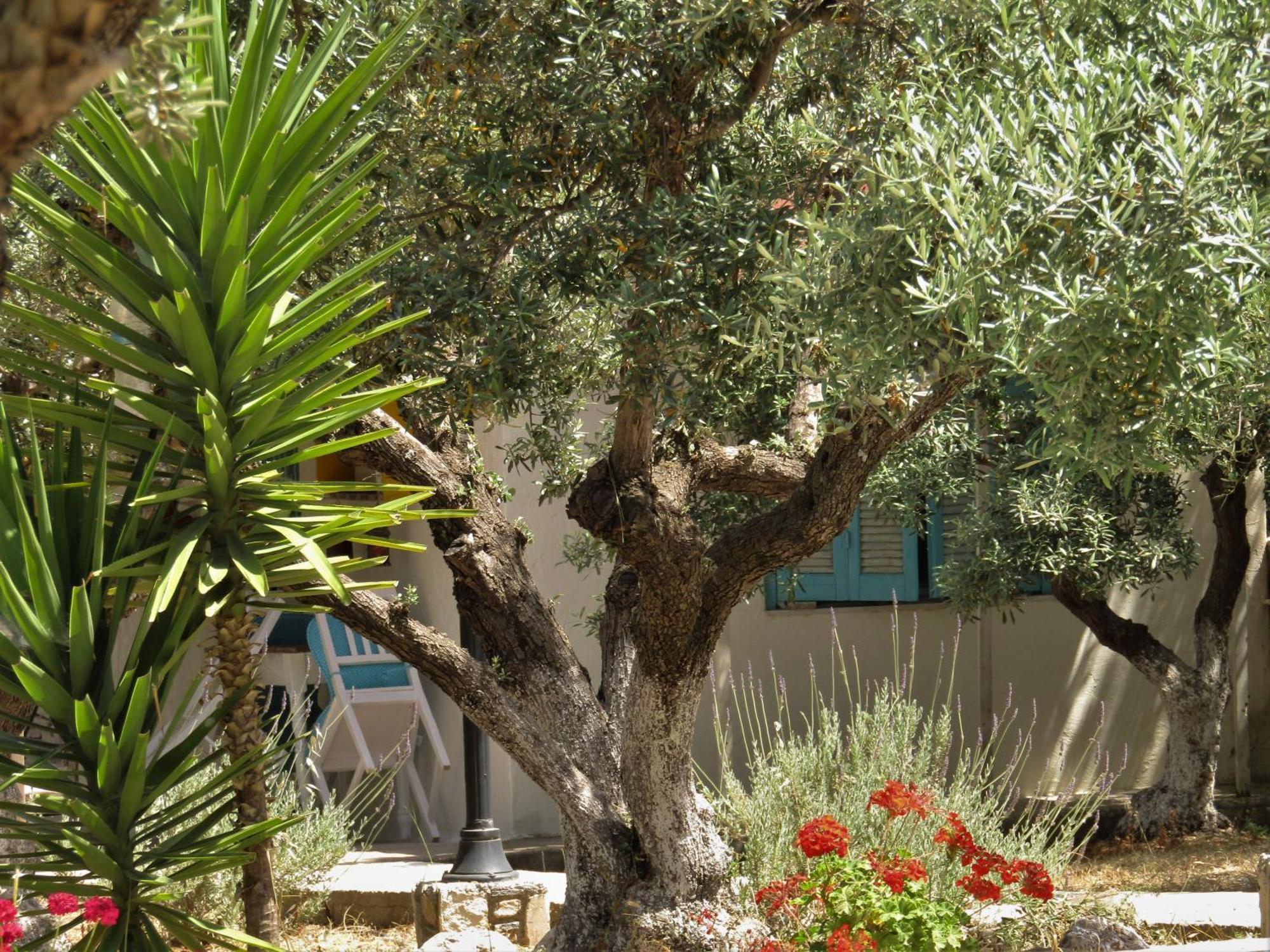 Asklipion Valley Guest House Cos Exterior foto